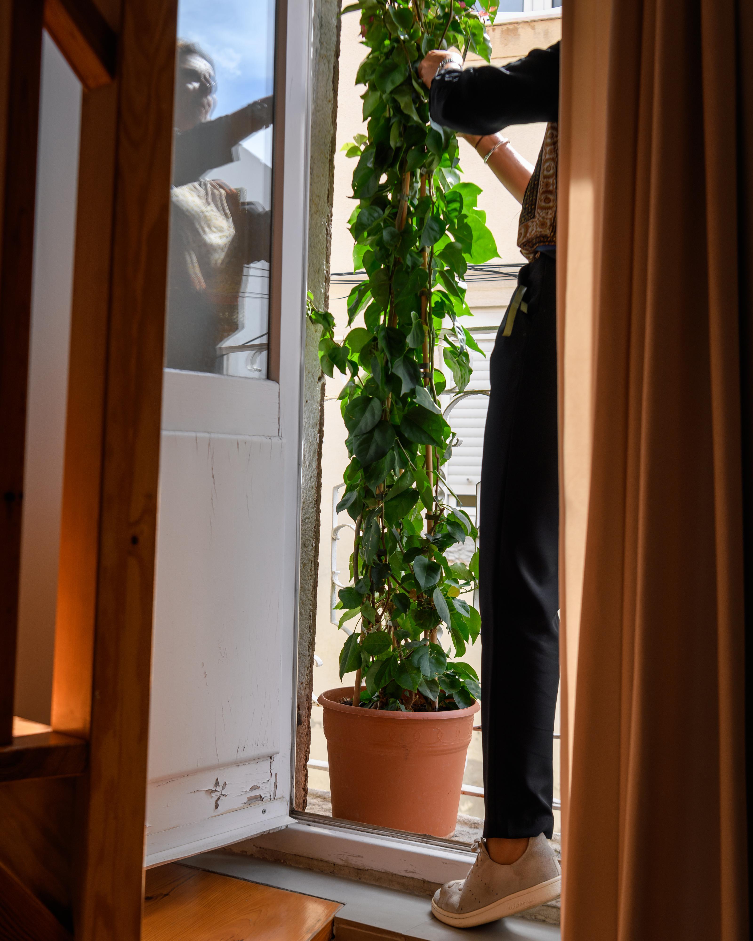 Alfama Yellow House Appartement *